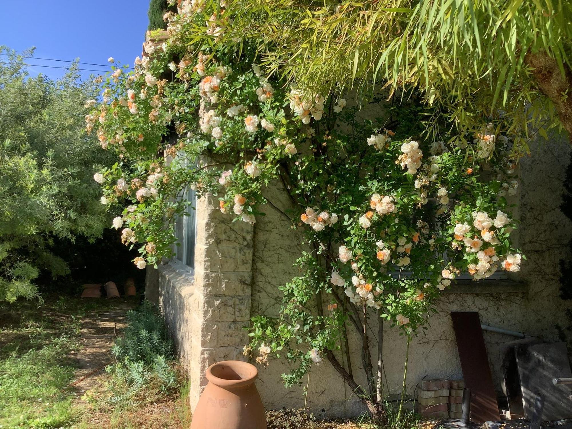 Le Mas Des Oliviers Martigues Exterior foto
